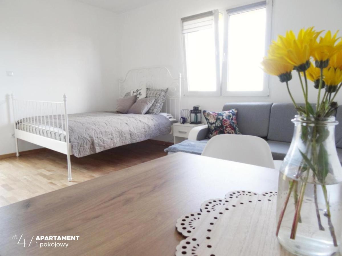 Apartament Karkonoska برزيسكا المظهر الخارجي الصورة